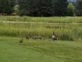 img 13671