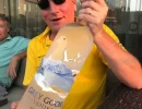 2017 hairy crab   19 of
